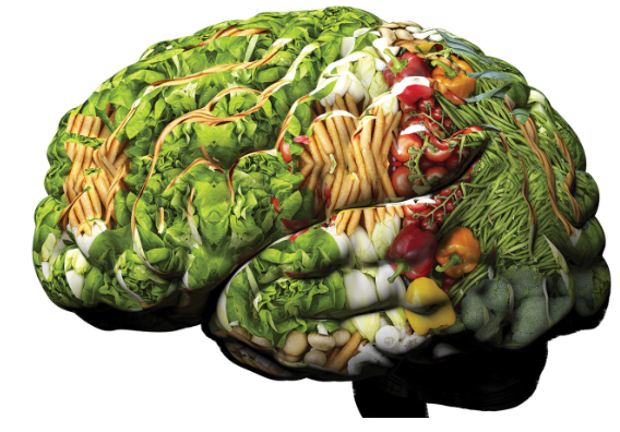 Brain/Nervous System Foods