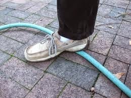 Garden hose illustration