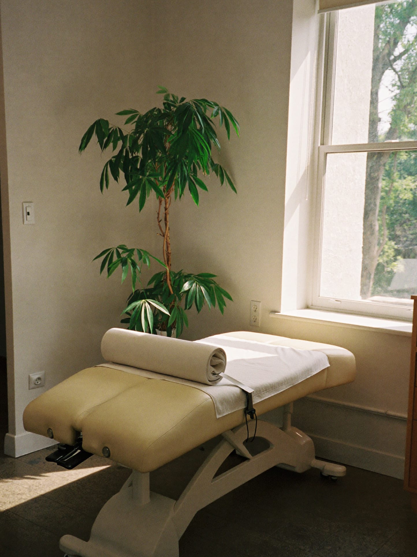 A bright treatment corner at Dunn Chiropractic Clinic