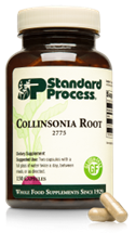 Collinsonia Root